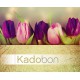 Cadeaubon bedrukt tulpen 25st Td21130027